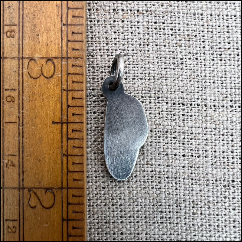 left honey bee wing