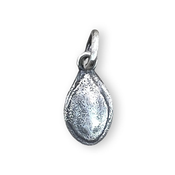 pumpkin seed charm