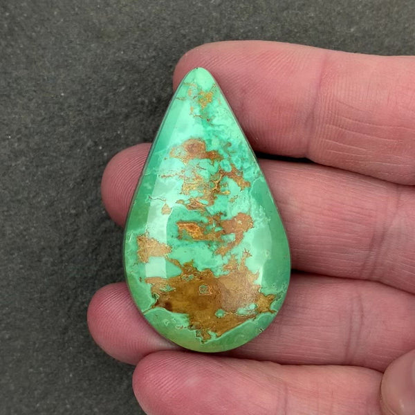 #49F21 - Rising Phoenix Turquoise