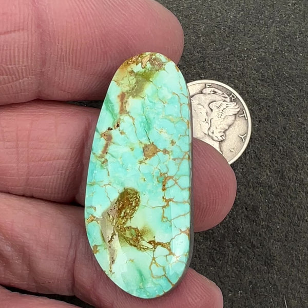 #16C23 - Sierra Bella Turquoise